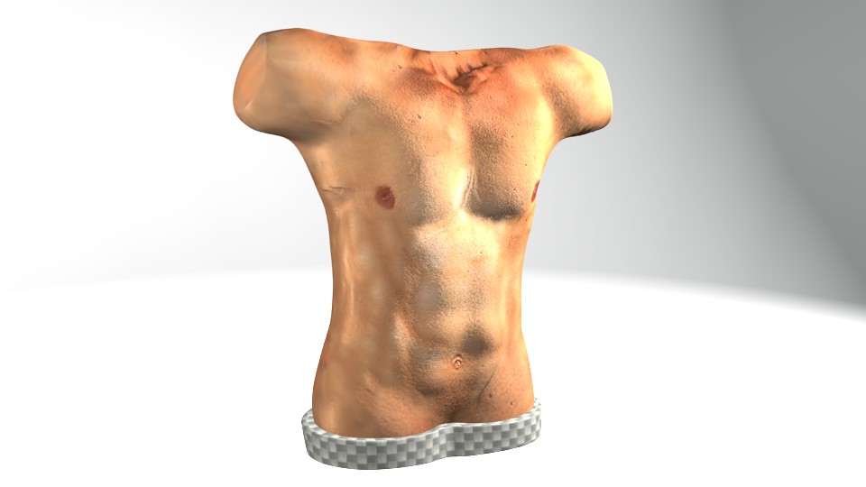 Human Body preview image 1